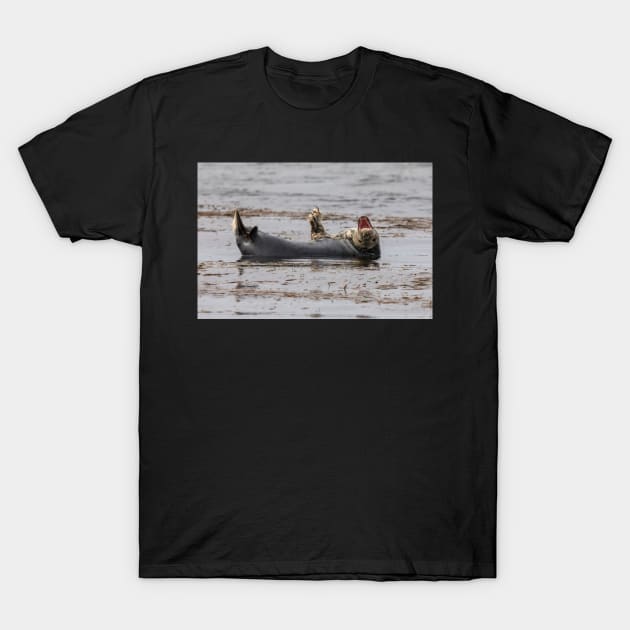 Happy seal T-Shirt by AYatesPhoto